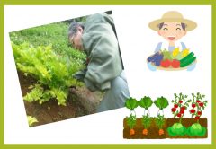 2019年4月会報