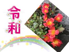 2019年5月　会報