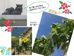 2019年7月会報