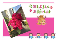 2021年1月会報