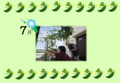 2021年7月会報